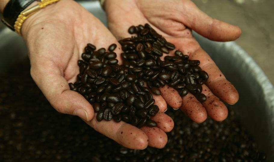 Fair Trade Coffee Laos